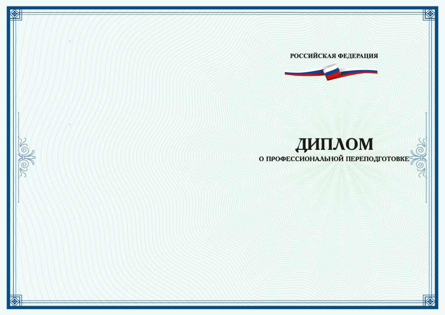 Чистый бланк Диплома о профессиональной переподготовке