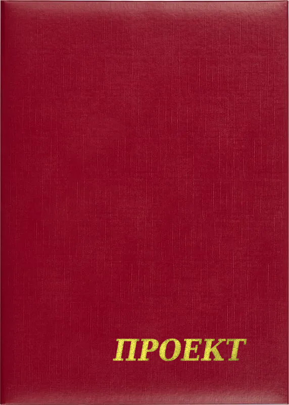 Папка адресная «Проект»