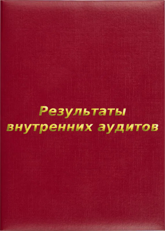 Папка адресная «Результаты внутренних аудитов»