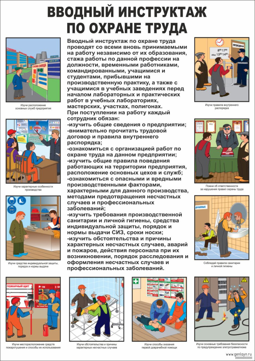 Плакат вводный инструктаж по охране труда