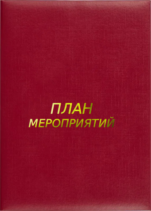 Папка адресная «План мероприятий»