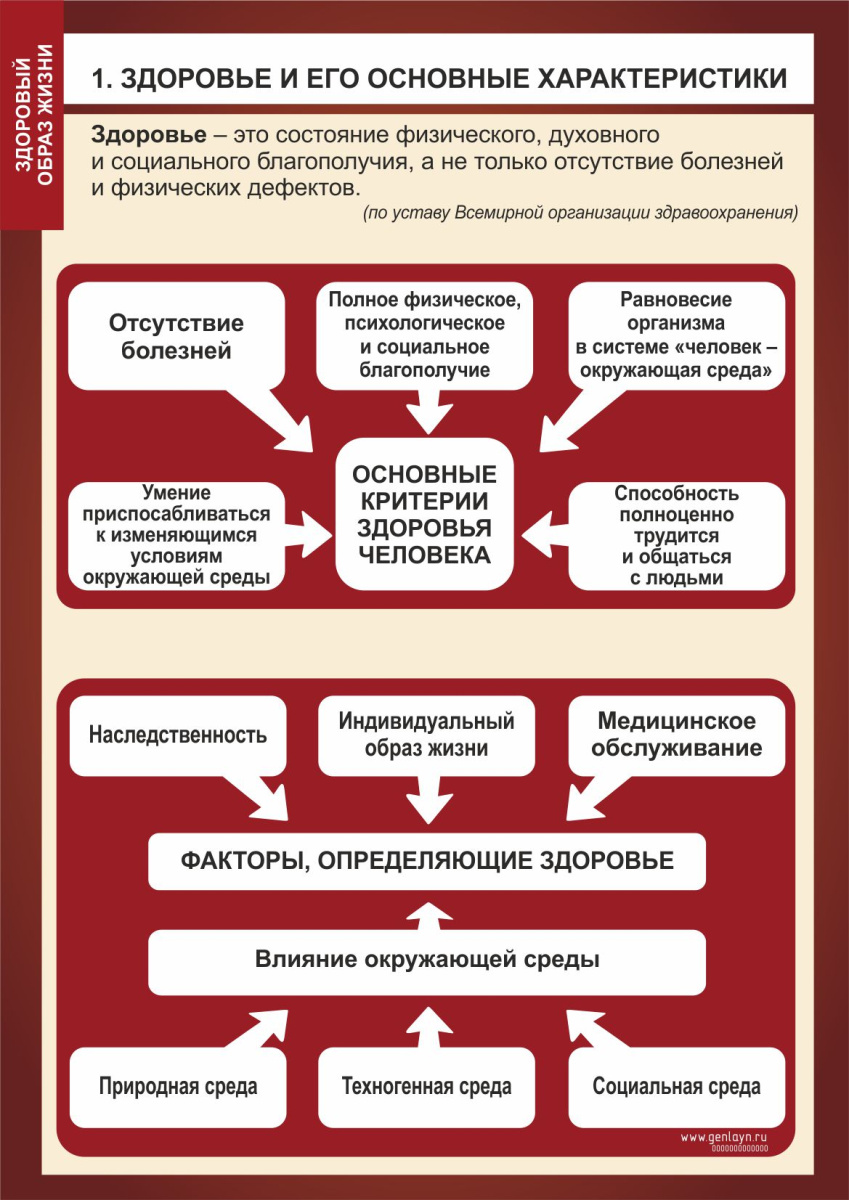 Плакат здоровье и его основные характеристики