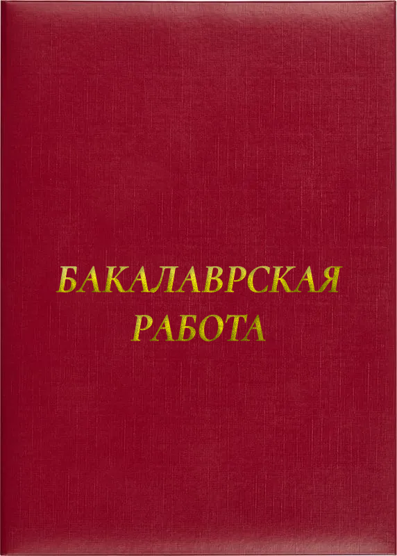 Папка адресная «Бакалаврская работа»