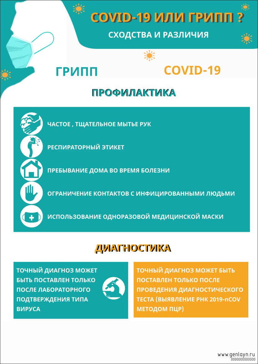 Плакат сходства и различия 3