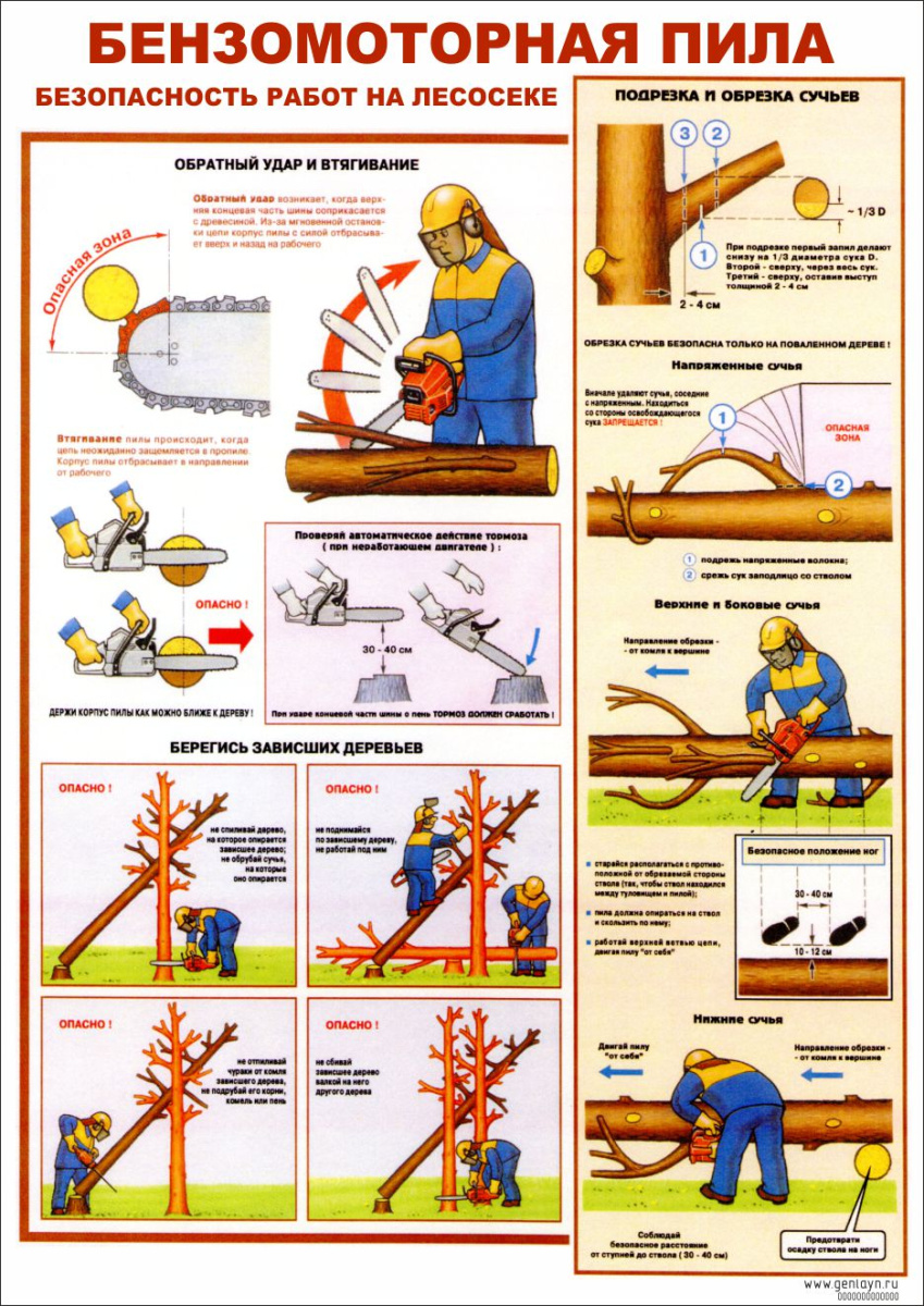 Плакат безопасность работ на лесосеке