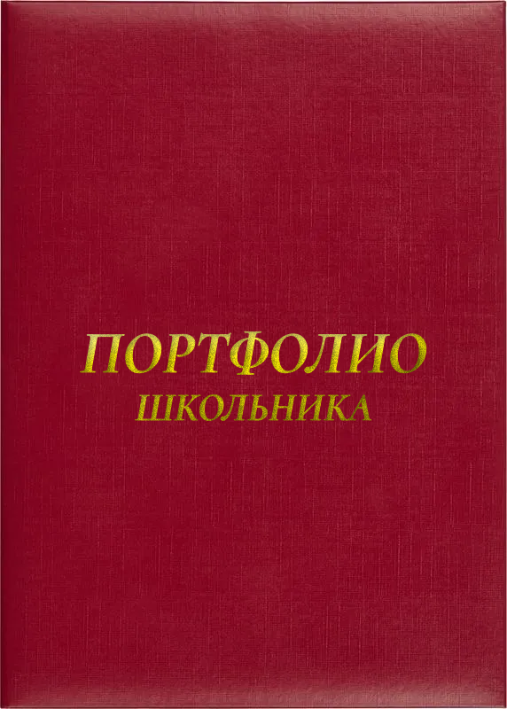 Папка адресная «Портфолио школьника»