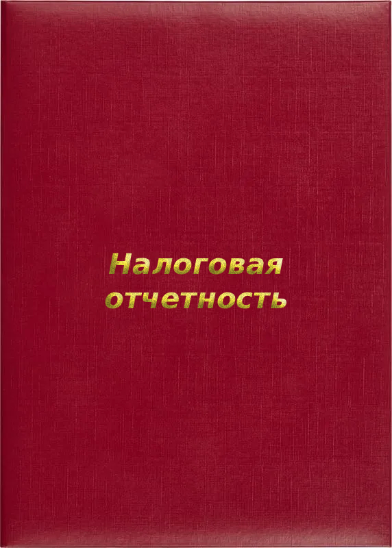 Папка адресная «Налоговая отчетность»