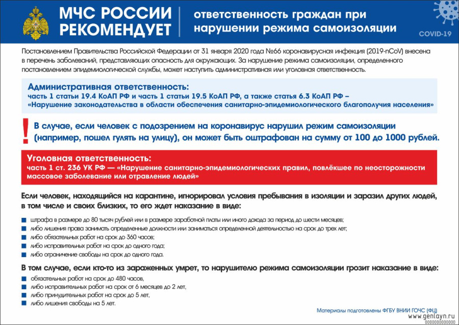 Плакат ответственность граждан при нарушении режима самоизоляции