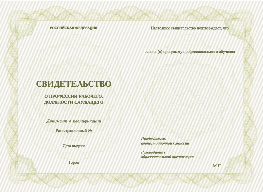 Бланк свидетельства о профессии рабочего, должности служащего, без обложки