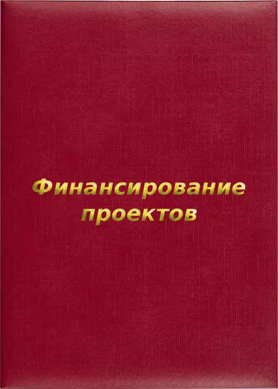Папка адресная «Финансирование проектов»