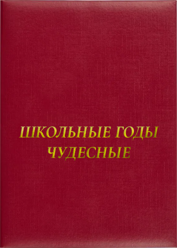 Папка адресная «Школьные годы чудесные»