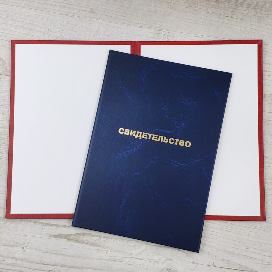 Свидетельство оператора беспилотных авиационных систем