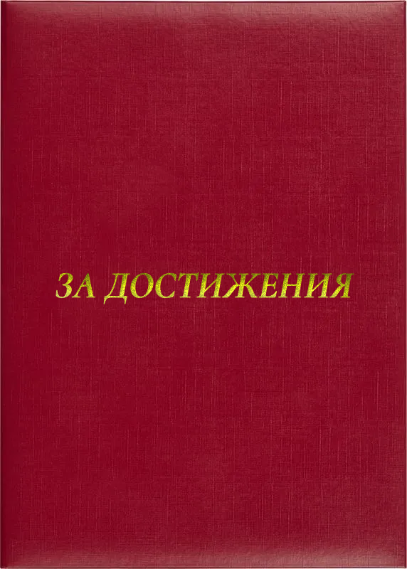 Папка адресная «За достижения»