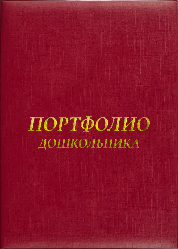 Папка адресная «Портфолио дошкольника»