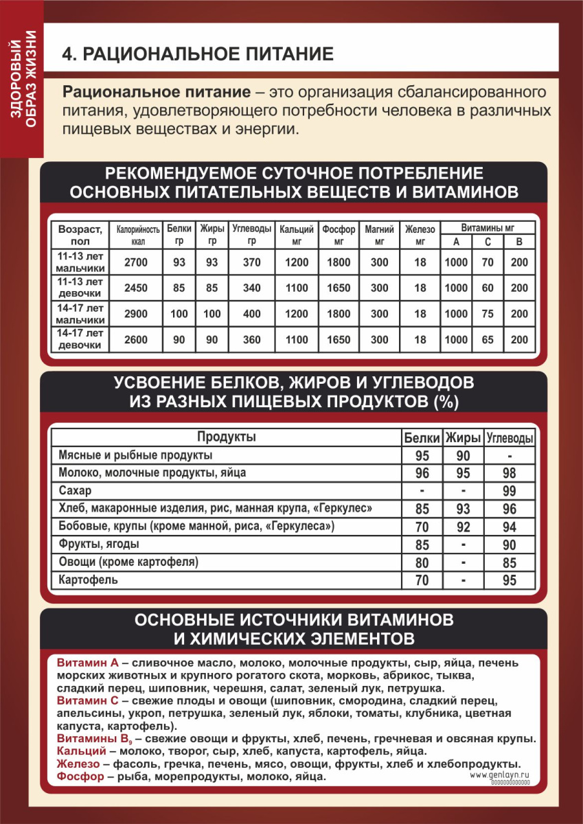 Плакат рациональное питание