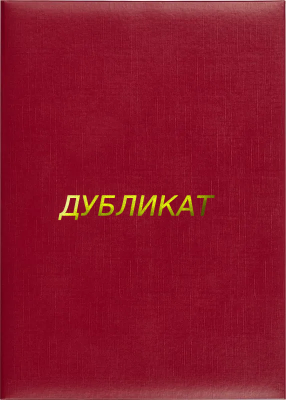 Папка адресная «Дубликат»