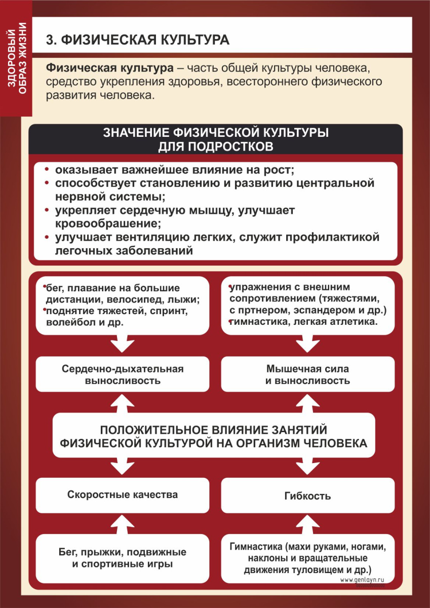 Плакат физическая культура