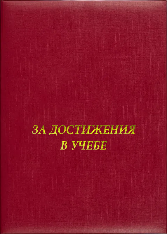 Папка адресная «За достижения в учёбе»