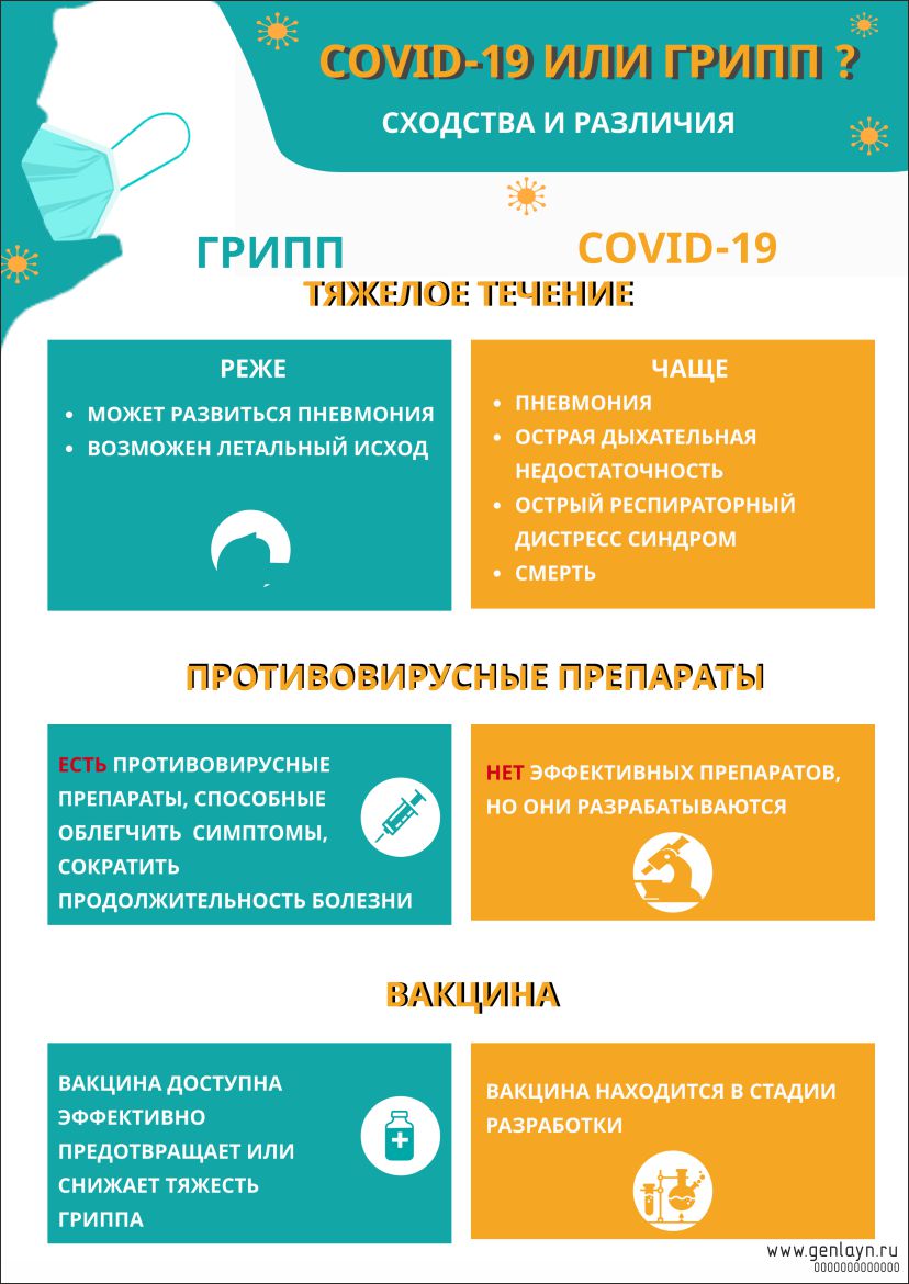 Плакат сходства и различия 2