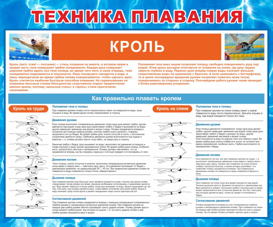 Стенд техника плавания кролем