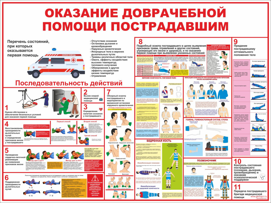 Стенд оказание первой помоши пстрадавшим