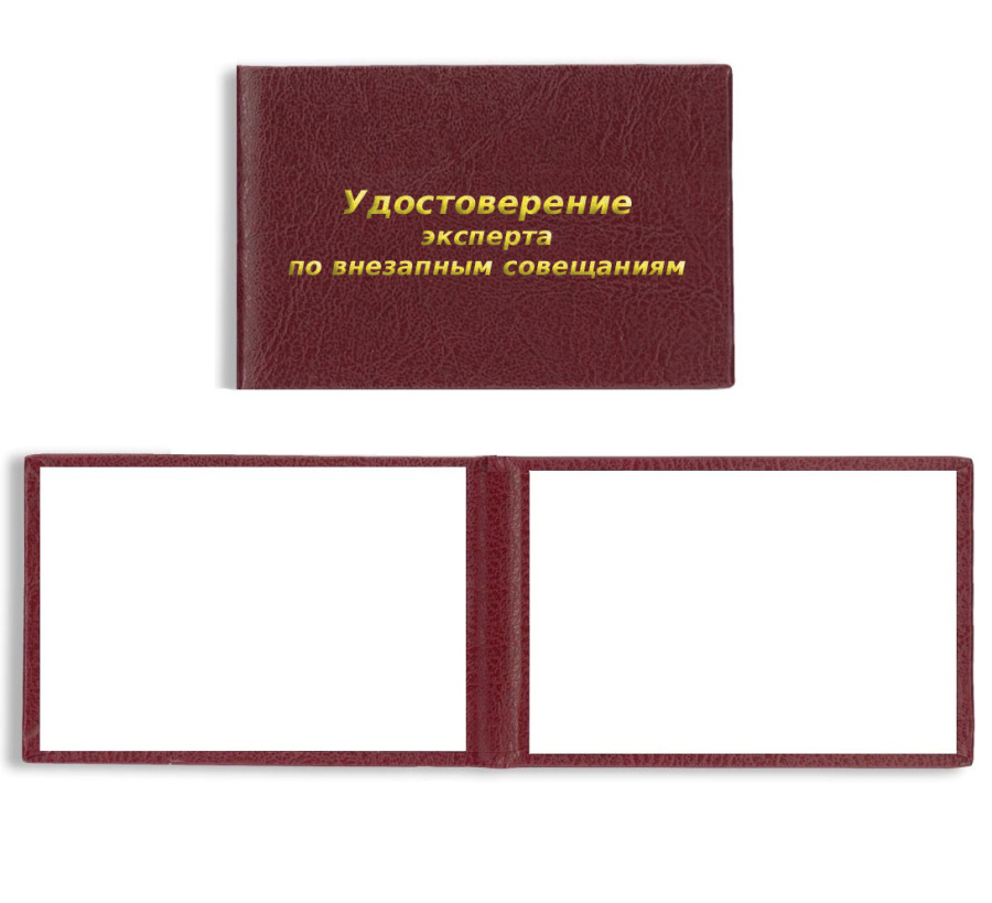 Удостоверение эксперта по внезапным совещаниям