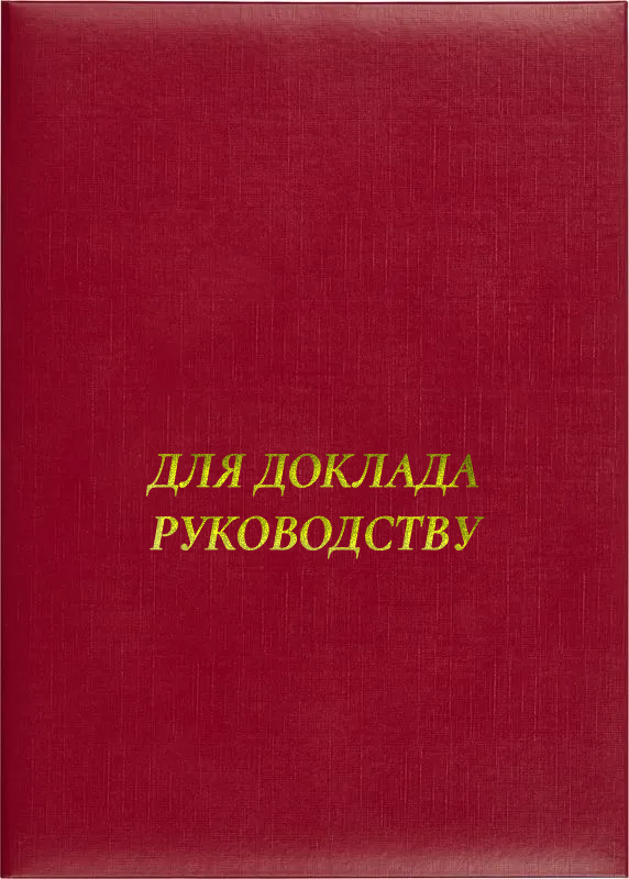 Папка адресная «Для доклада руководству»