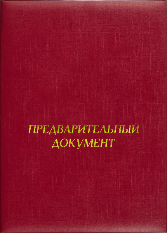 Папка адресная «Предварительный документ»