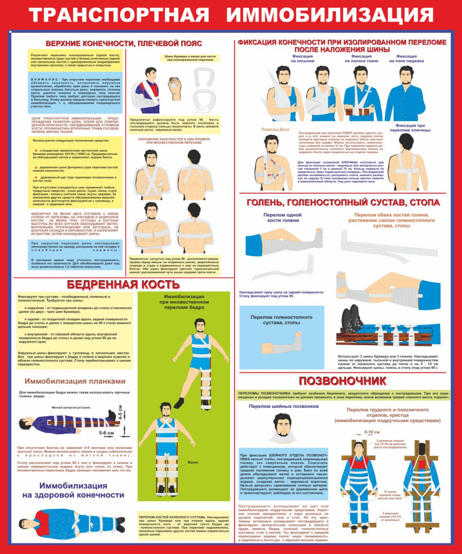 Стенд транспортная имобилизация