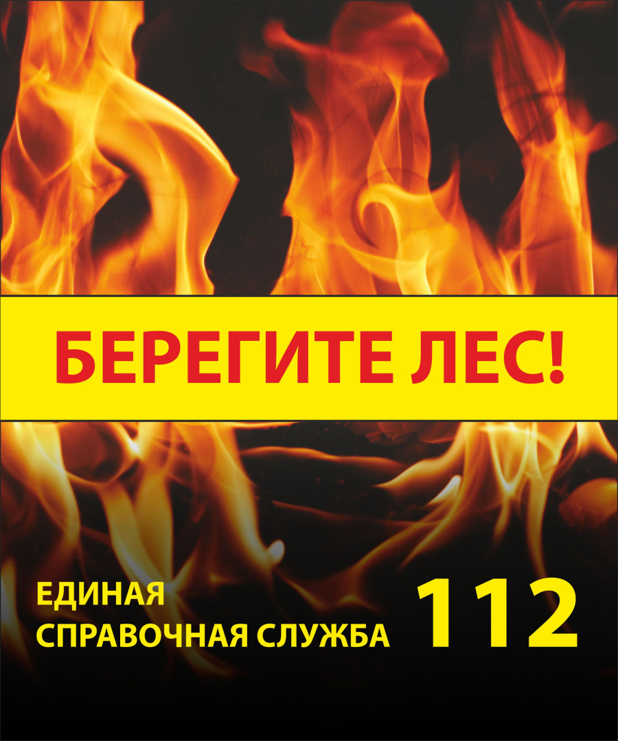 Стенд берегите лес