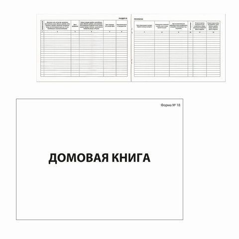 Книга "Домовая (поквартирная) книга" Форма №18, (80 л.), А4, 198х278 мм, BRAUBERG, картон, блок офсе
