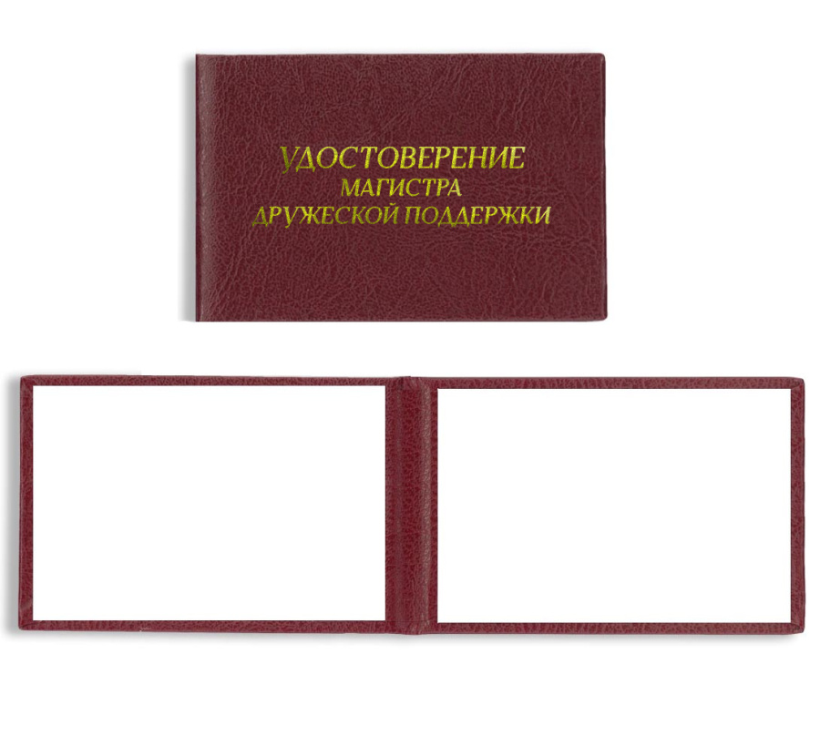 Удостоверение магистра дружеской поддержки