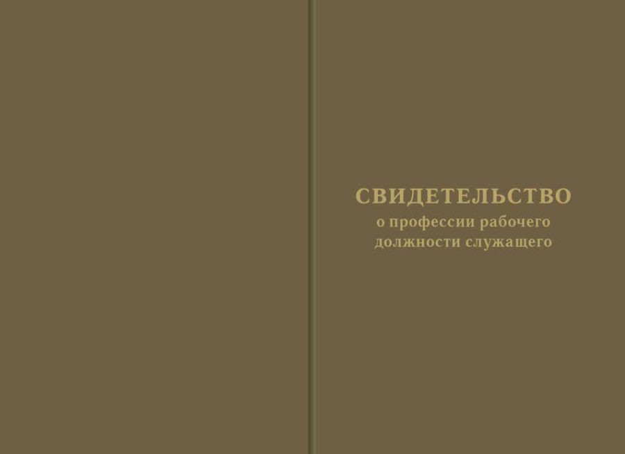 Обложка для свидетельства о профессии рабочего, должности служащего