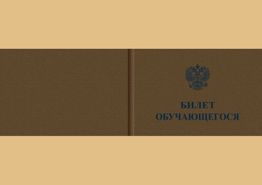 Билет обучающегося